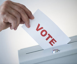 Updated Week 45 of 2013 – Gansbaai News, Specials & Events